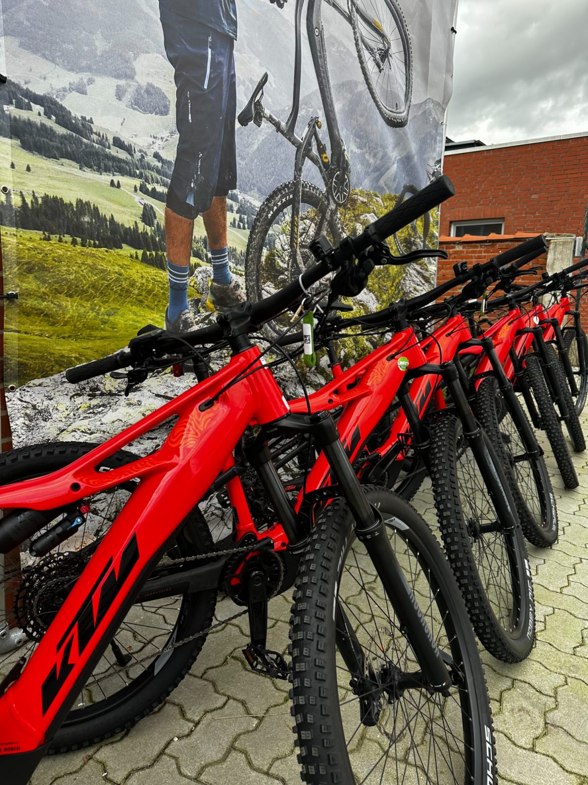 klapprad e-bike bosch E-Faltrad Hercules Rob Fold F7 2026 | | Freilauf Farbe:Magnolie Hochglanz mit Kante in Wenge Classic und Edelstahlreling Lohnabrechnung erstellen lassen: So Cube Nuride Hybrid EXC 625 Allroad
